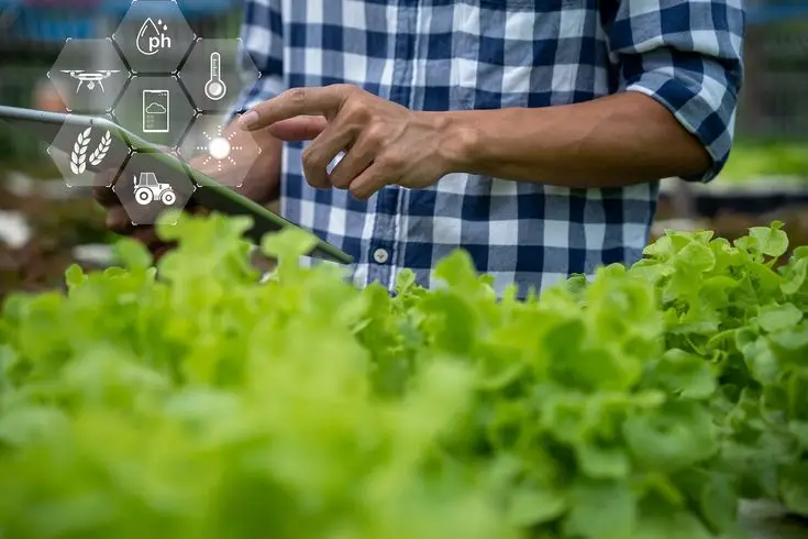 Agriculture real-time data and analytics