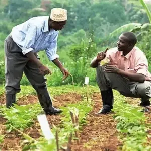 Farmers Advisory Service