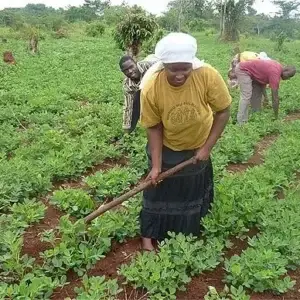 Farmers in Africa