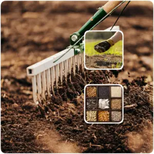 Input subsidies for farmers